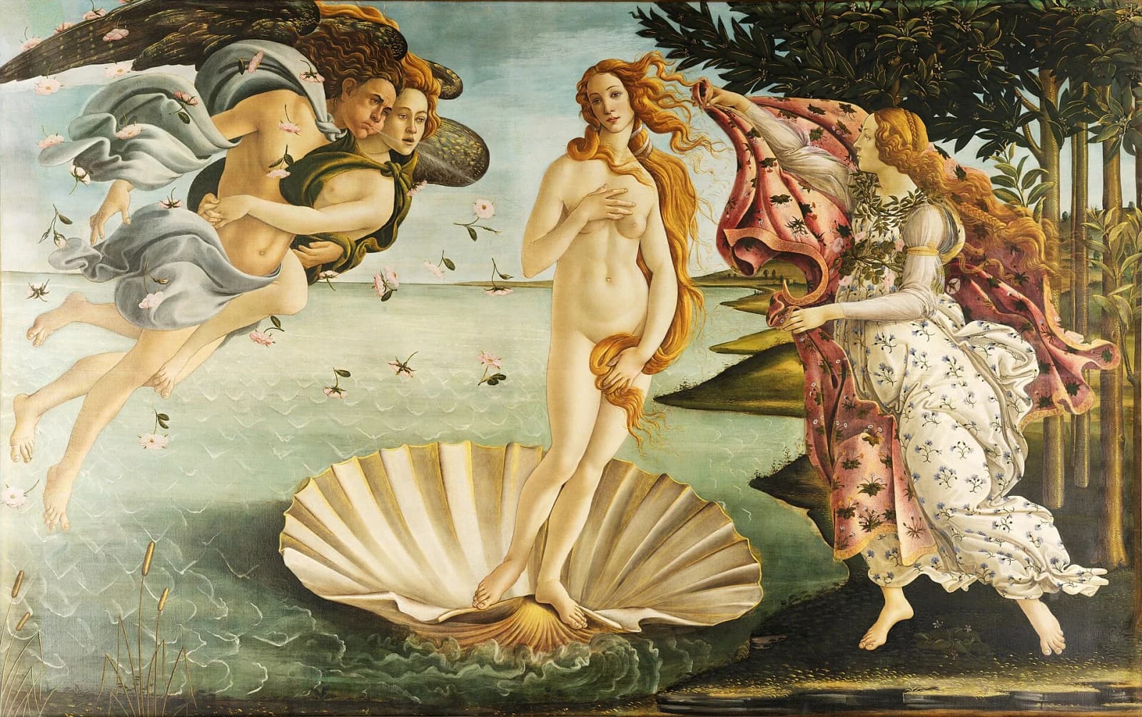 維納斯的誕生，The Birth of Venus